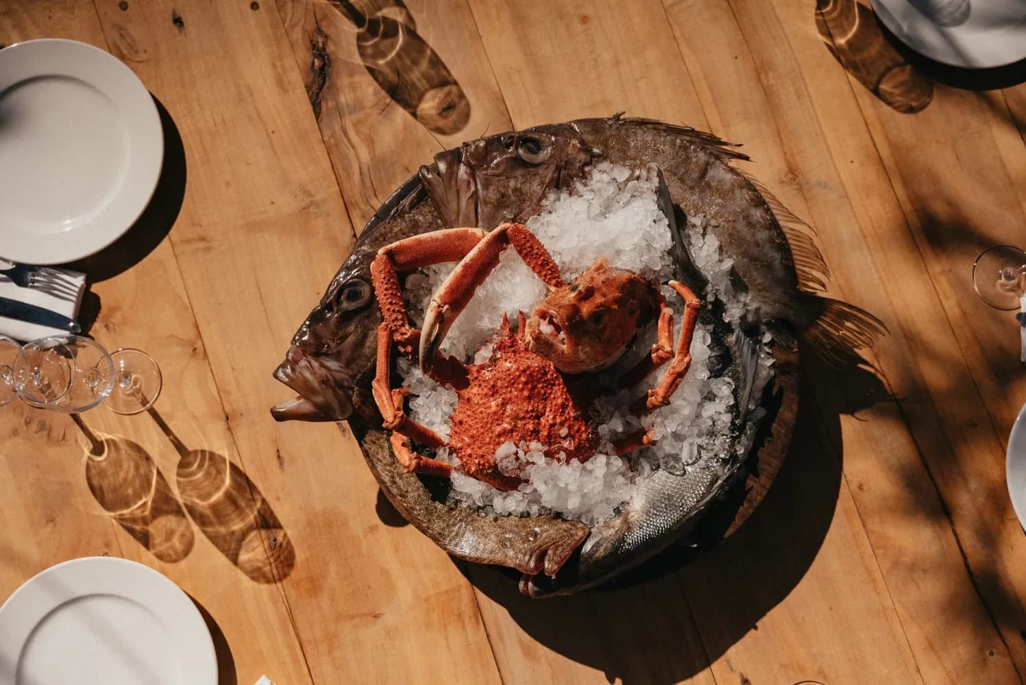 Dogus Adres Restaurant — Kıbrıs rehber kapak görseli