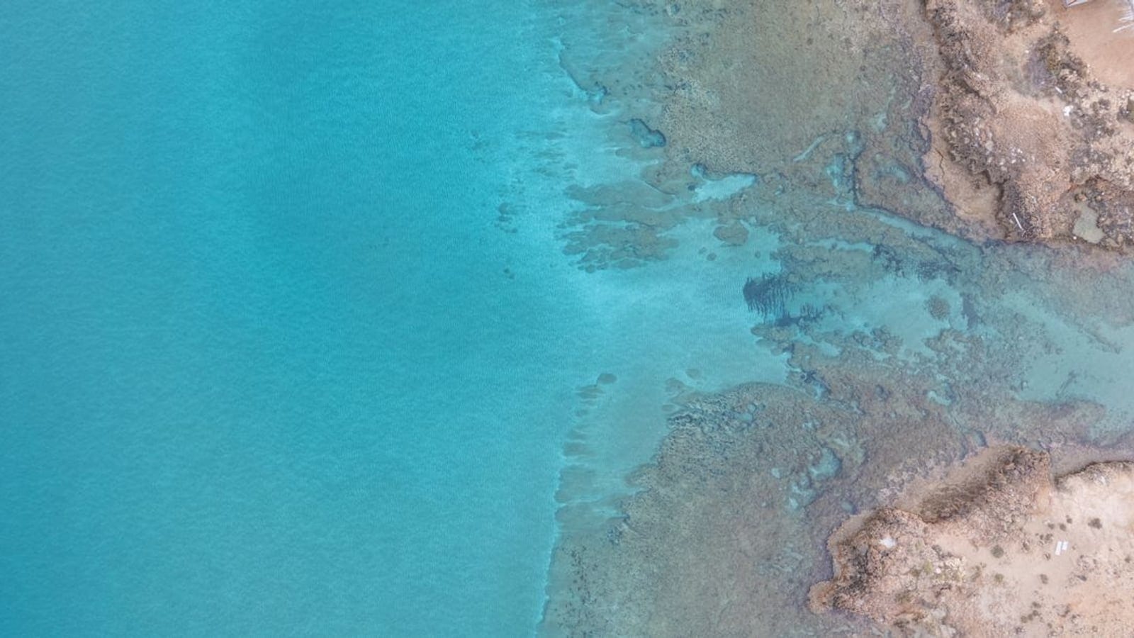 Soli / Gemikonağı Sahil — Lefke plaj / beach club kapak görseli