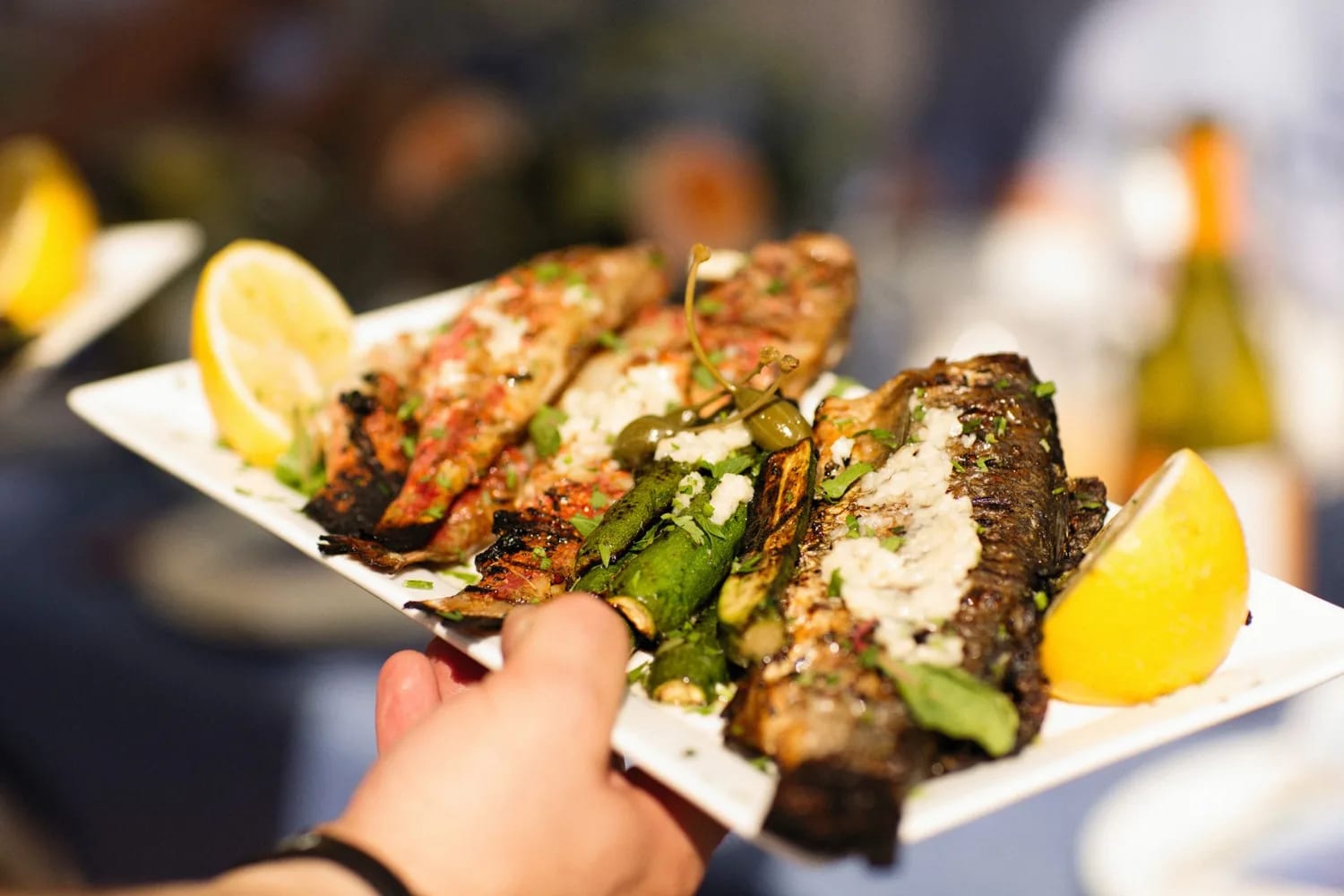 Sandal — Kıbrıs rehber kapak görseli