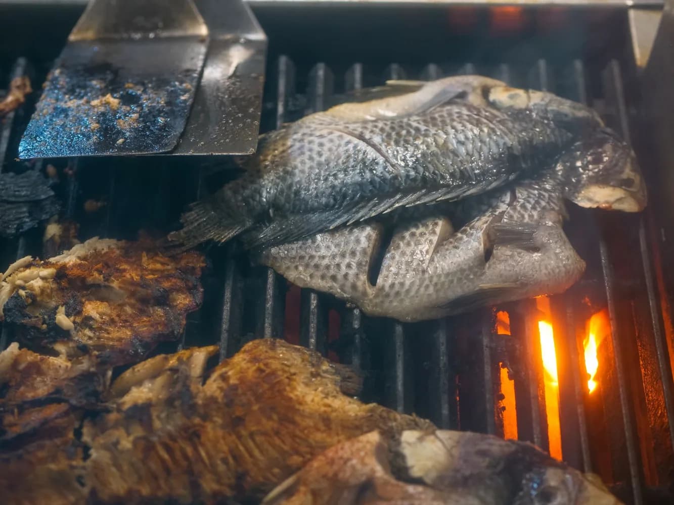 Liman Rakı Balık