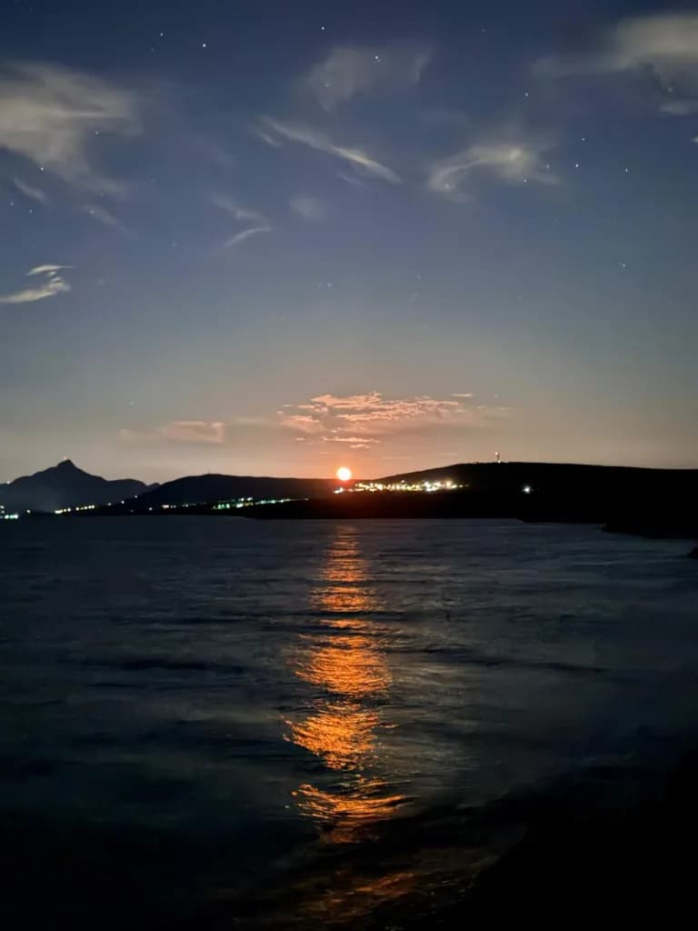 Olta takımı ile deniz avı